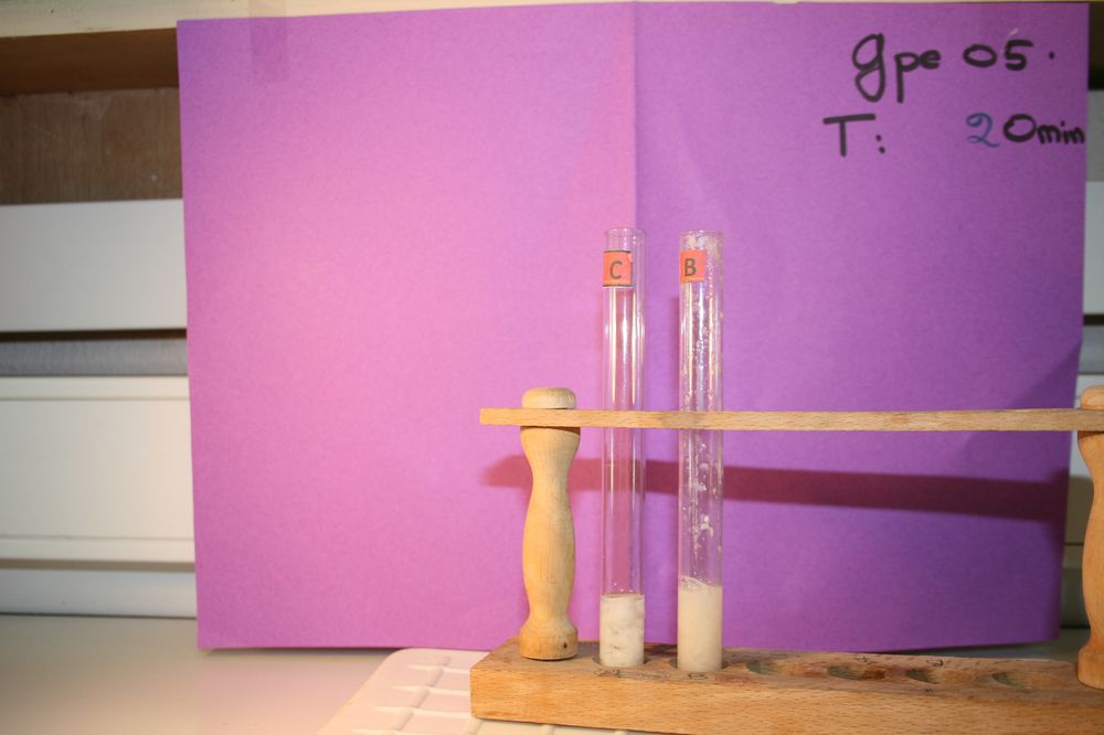 gal/LES_CINQUIEMES/ACTIVITE DIGESTION IN VITRO/Groupe_05/Groupe05_T_00h20min/Groupe05_T_00h_20min_11.JPG